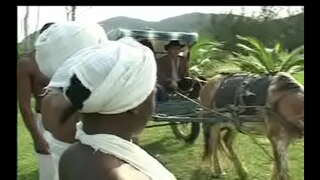 به عنوان نگرس دا senzala